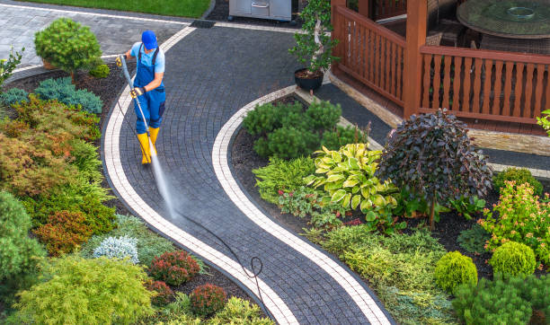 Best Pressure Washing Near Me  in Ranlo, NC